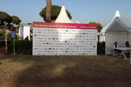 IMG_0603 IMG_0603